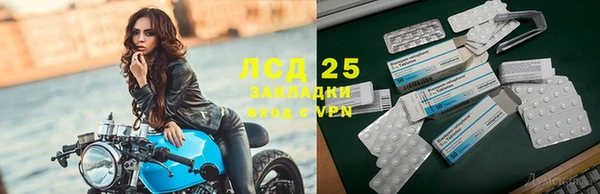 стаф Арсеньев