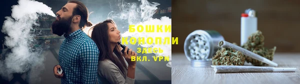 стаф Арсеньев