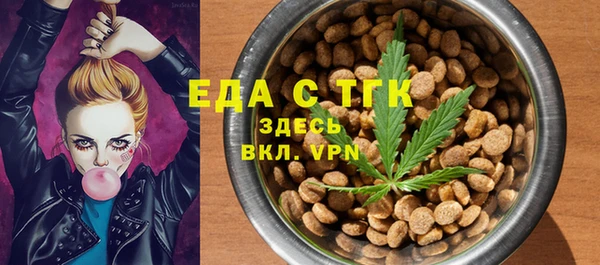 стаф Арсеньев