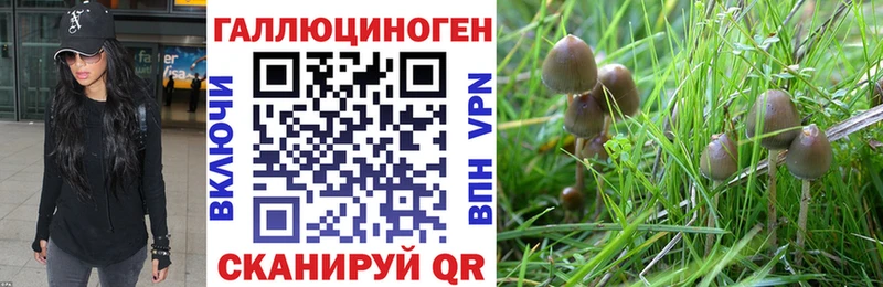 Галлюциногенные грибы ЛСД  KRAKEN ссылки  Тарко-Сале 